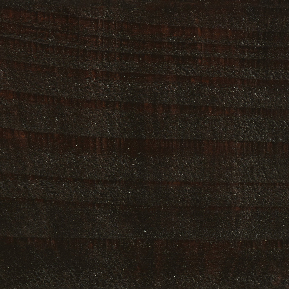 Warm Oak - Royal Exterior Paint