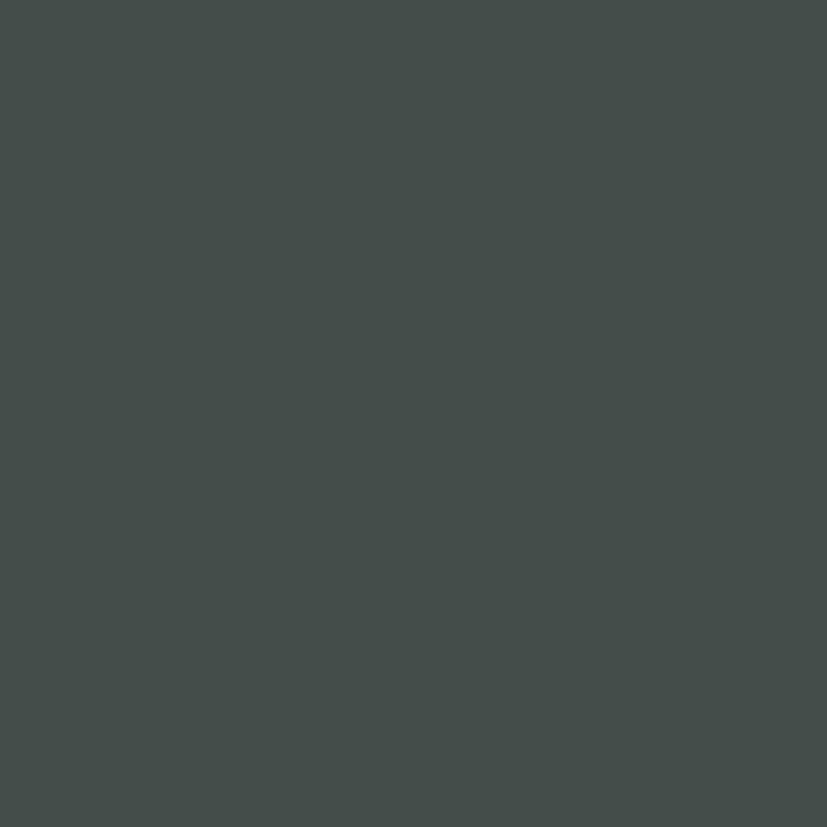 Wolf Grey - Royal Exterior Paint