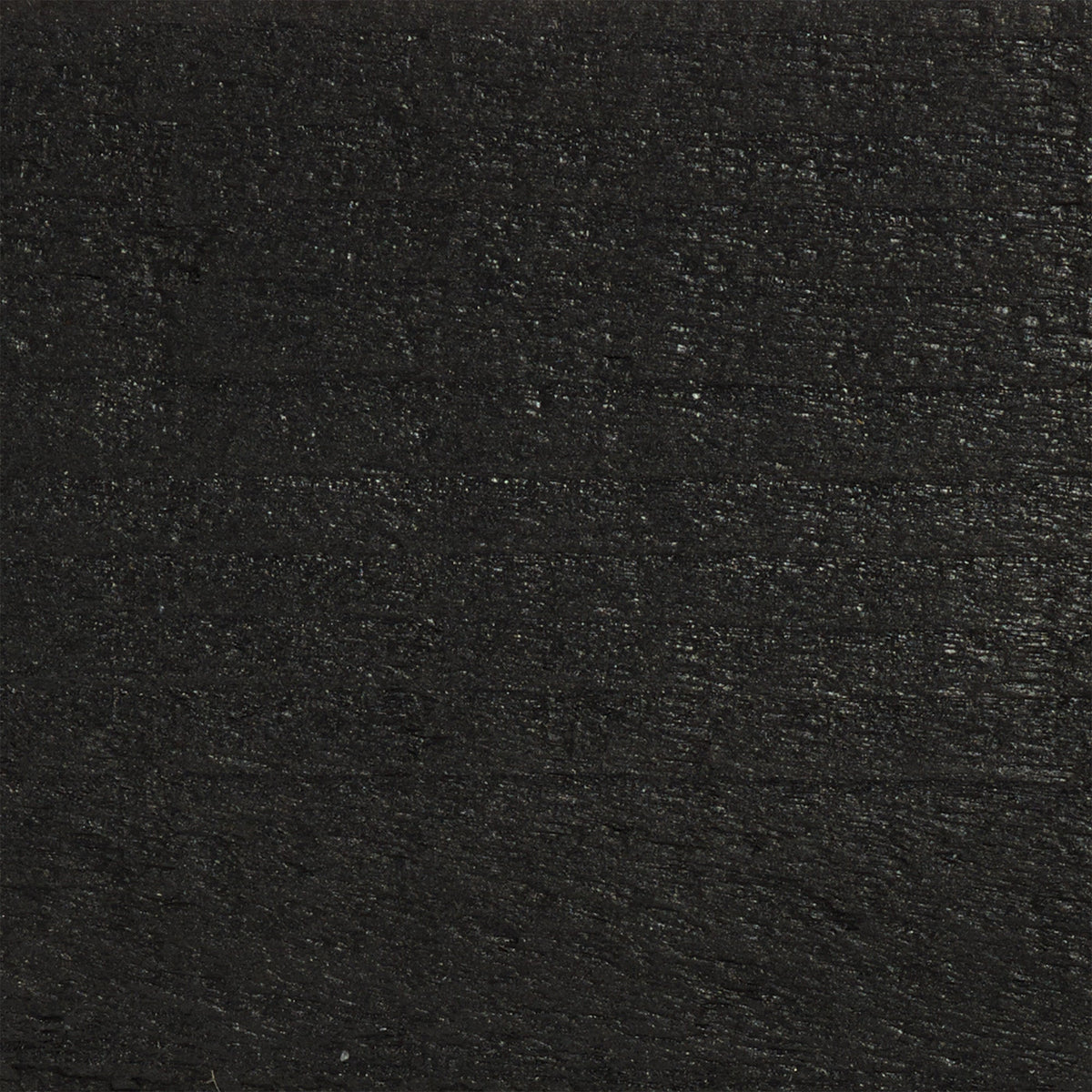 Black - Stable Coat Paint