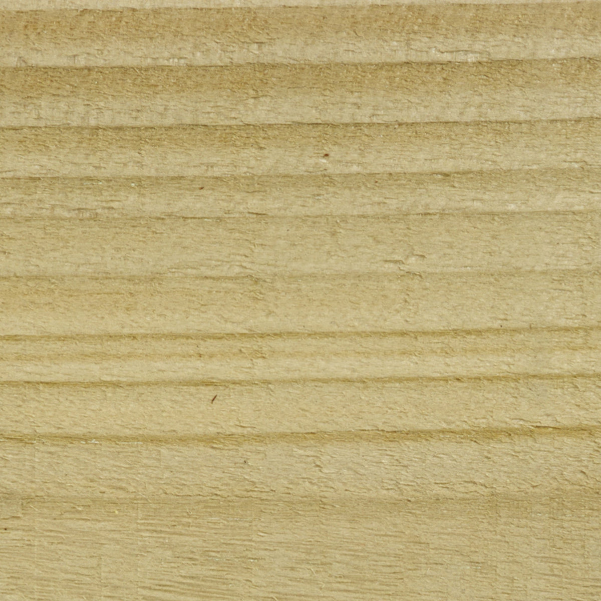 Clear - Stable Coat Paint