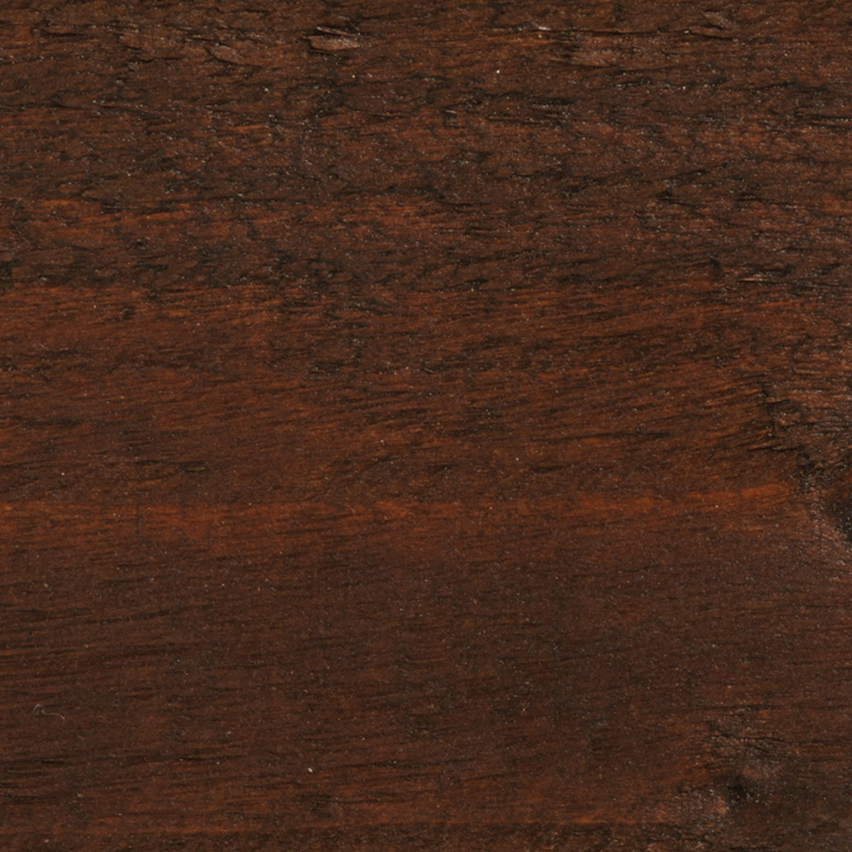 Golden Brown - Stable Coat Paint