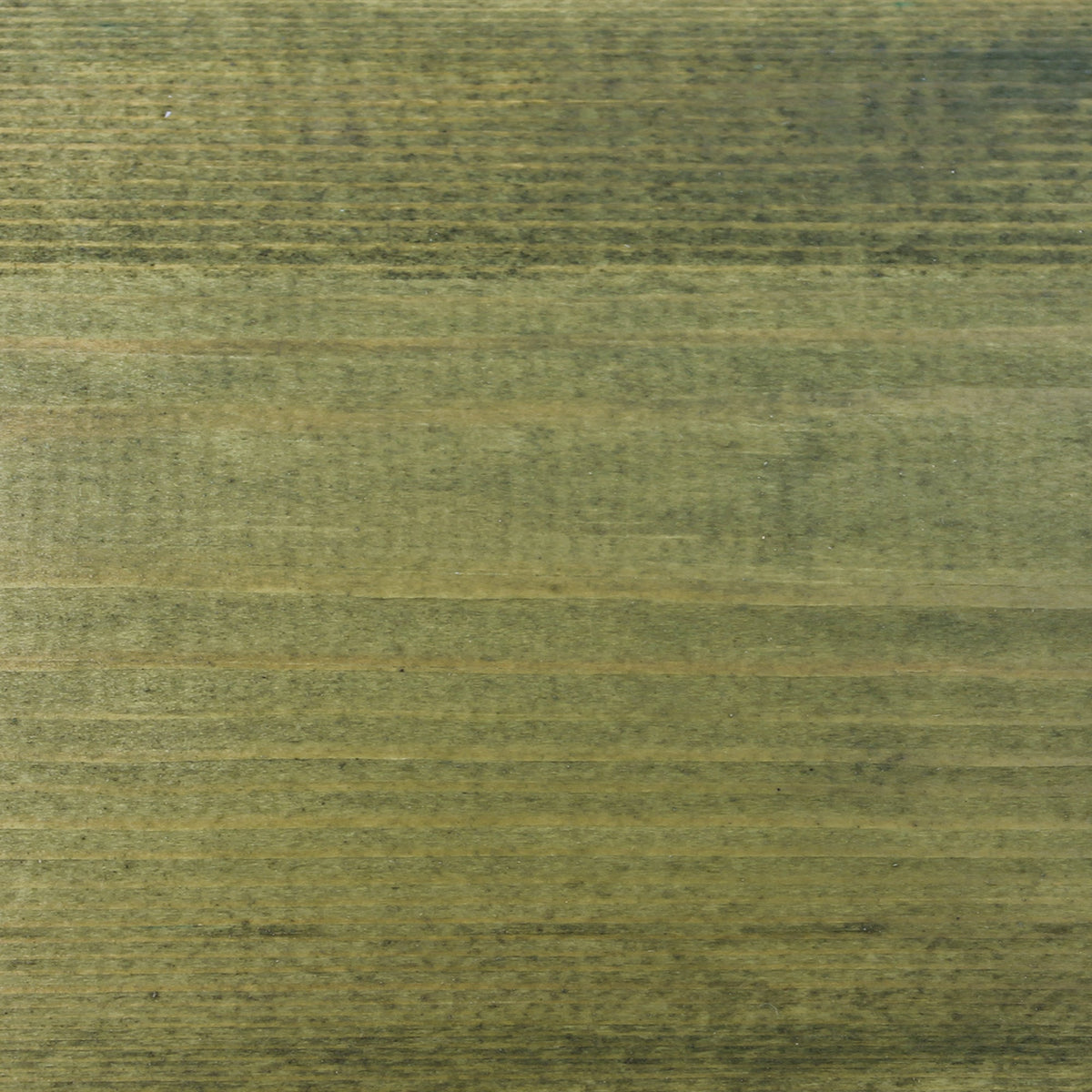 Light Green - Stable Coat Paint