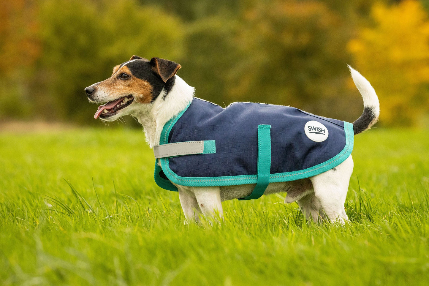 Classic Waterproof Dog Coat - Navy 150g