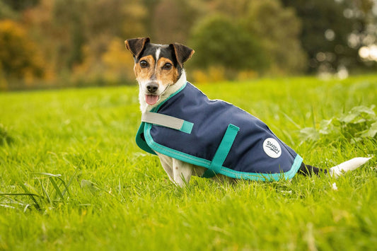 Waterproof Dog Coat - Navy