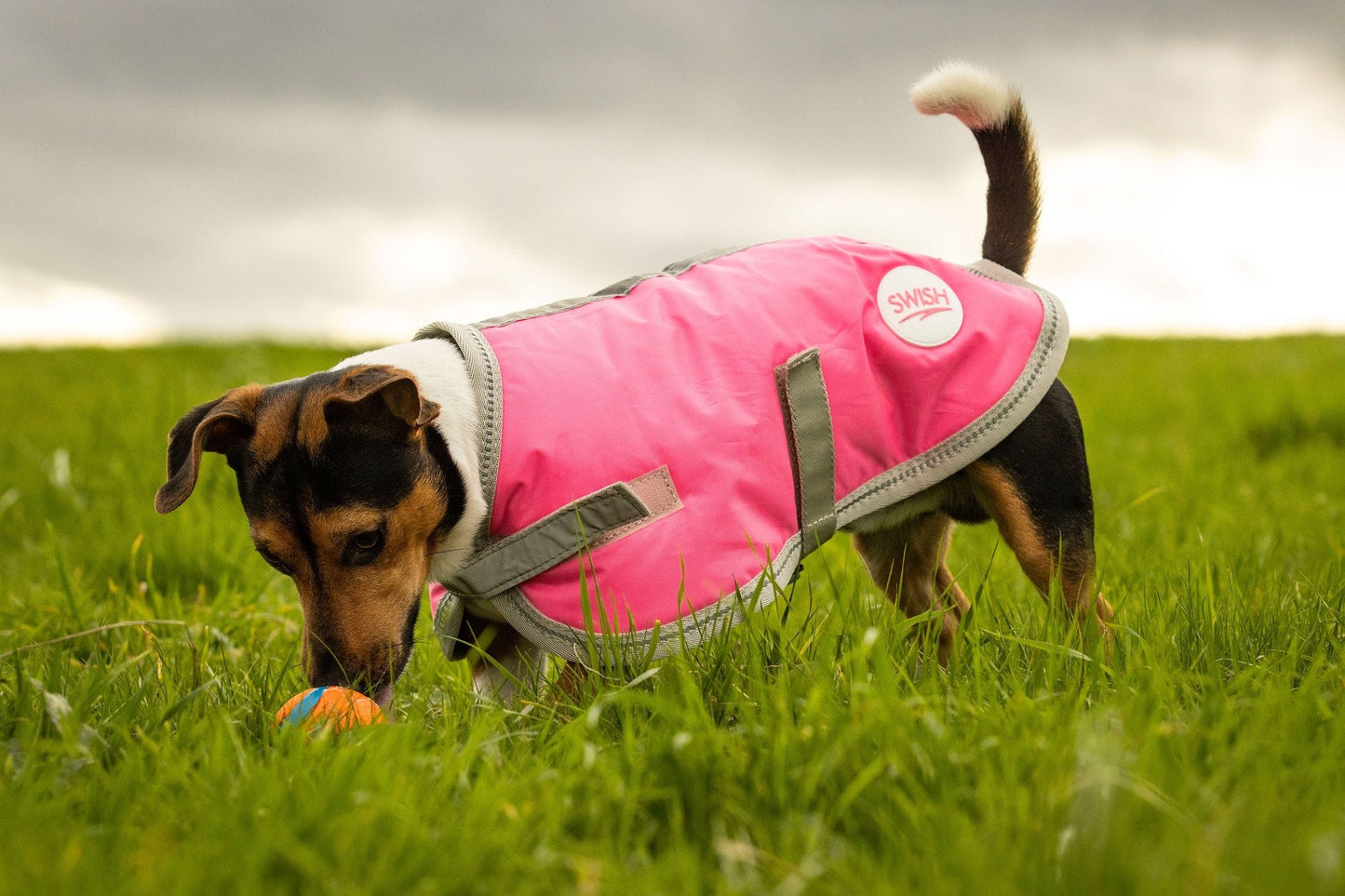 Waterproof Dog Coat - Pink