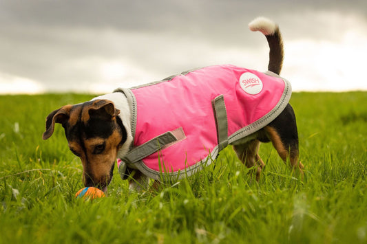 Waterproof Dog Coat - Pink