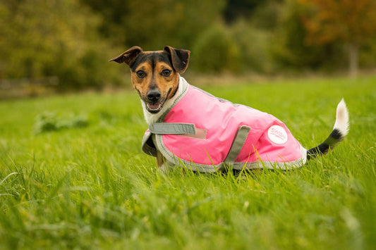 Waterproof Dog Coat - Pink