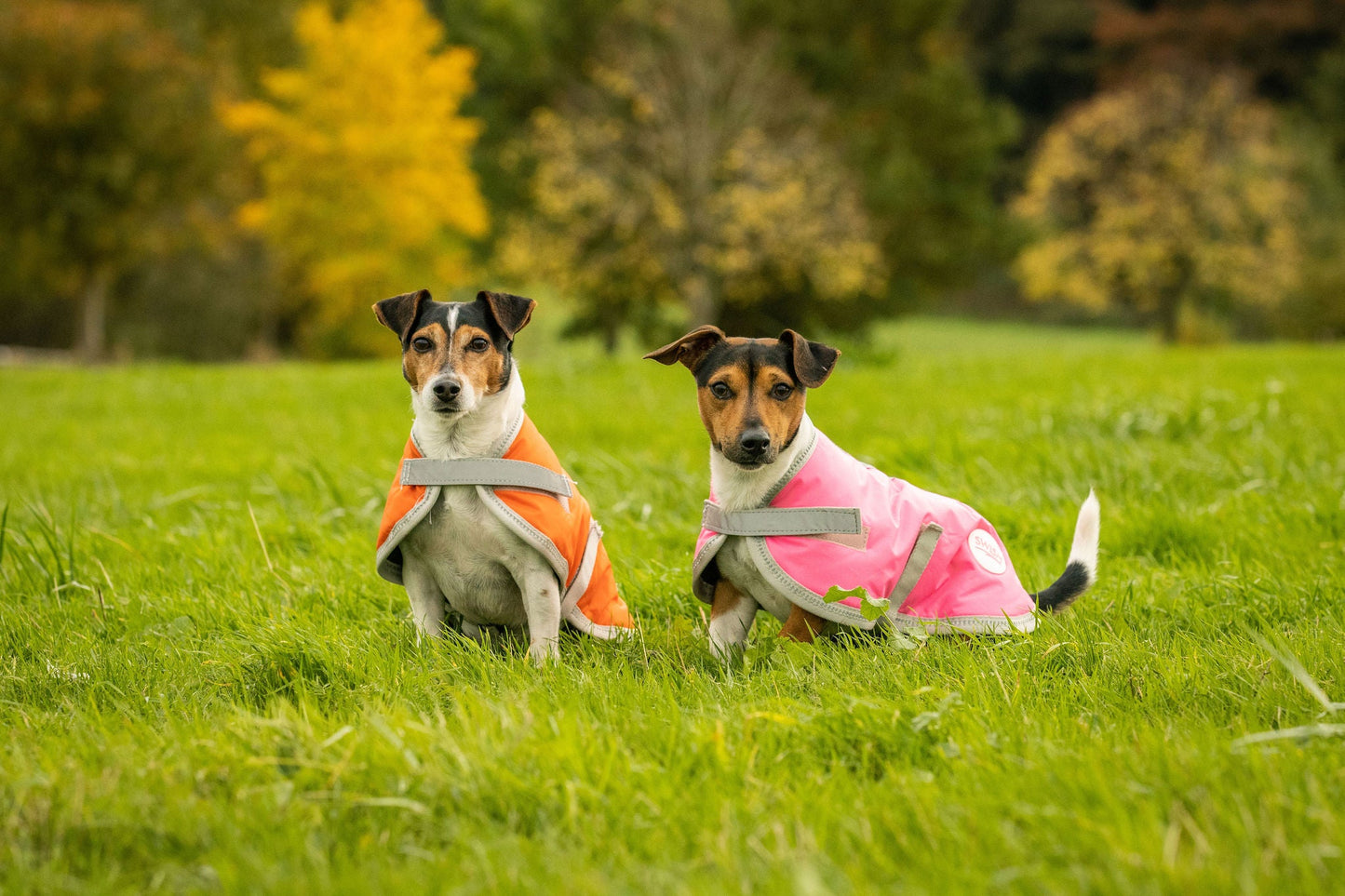 Classic 240g Waterproof Dog Coat - High Viz Pink