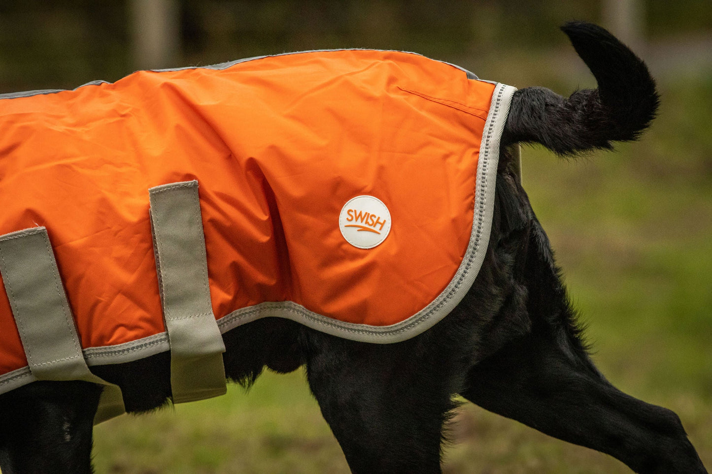 Classic 240g Waterproof Dog Coat - Orange