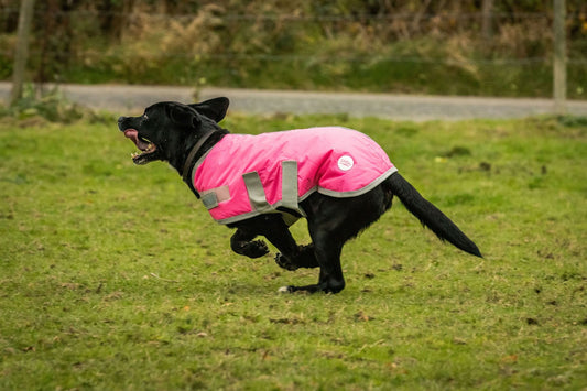 Waterproof Dog Coat - Pink