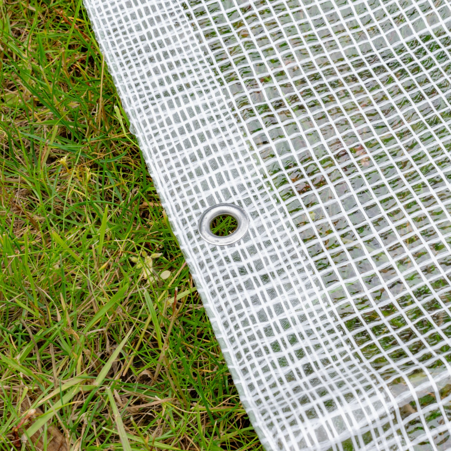 Clear M-Grade Tarpaulin 5m x 5m
