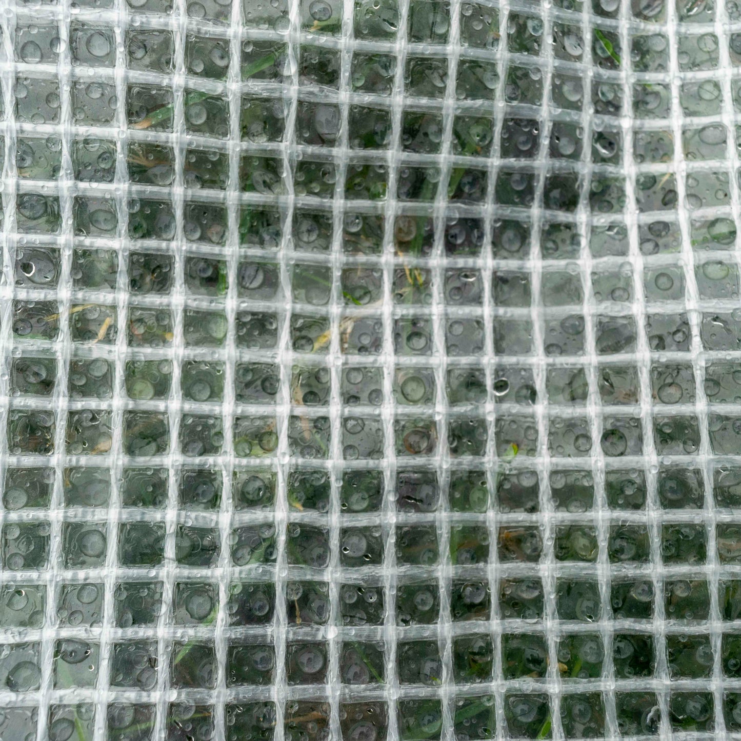Clear M-Grade Tarpaulin 5m x 5m