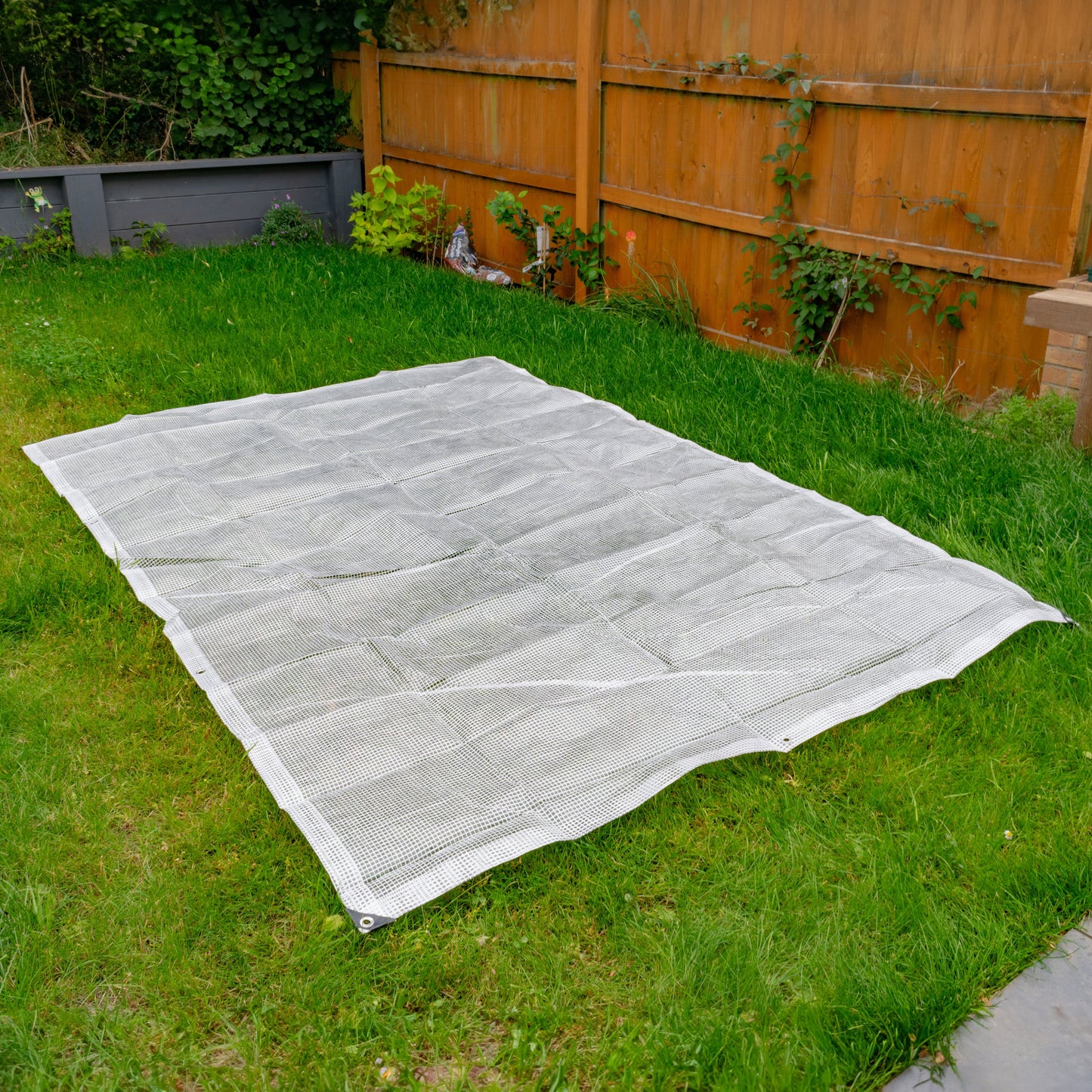 Clear M-Grade Tarpaulin with 20 x 4" Bungee Balls (White)
