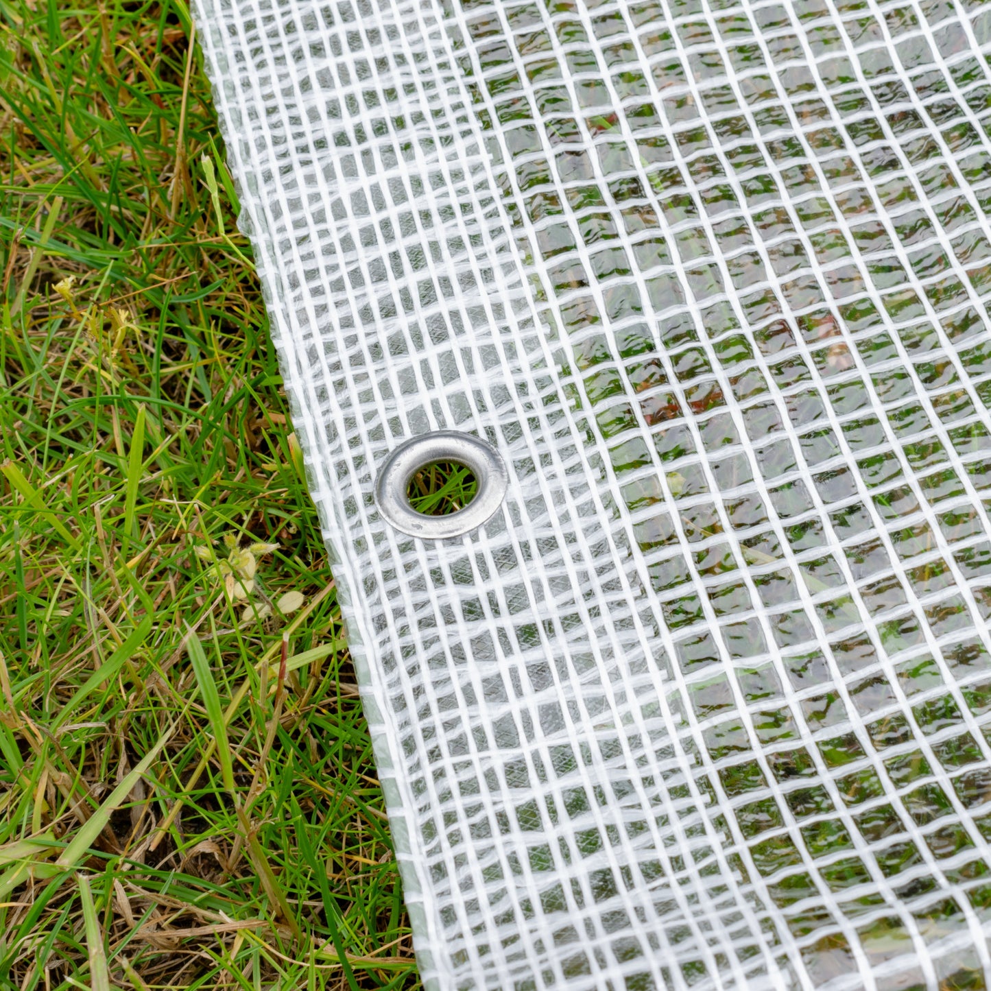 Clear M-Grade Tarpaulin with 20 x 6" Bungee Balls (White)