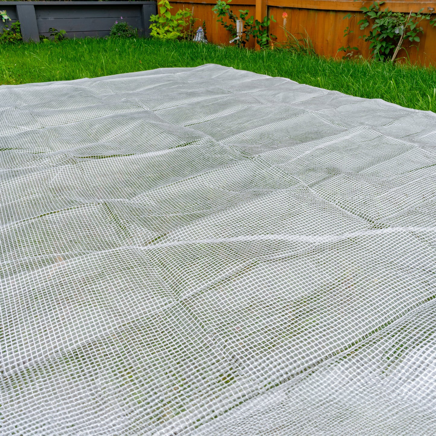 Clear XL-Grade Tarpaulin with 20 x 4" Bungee Balls (White)