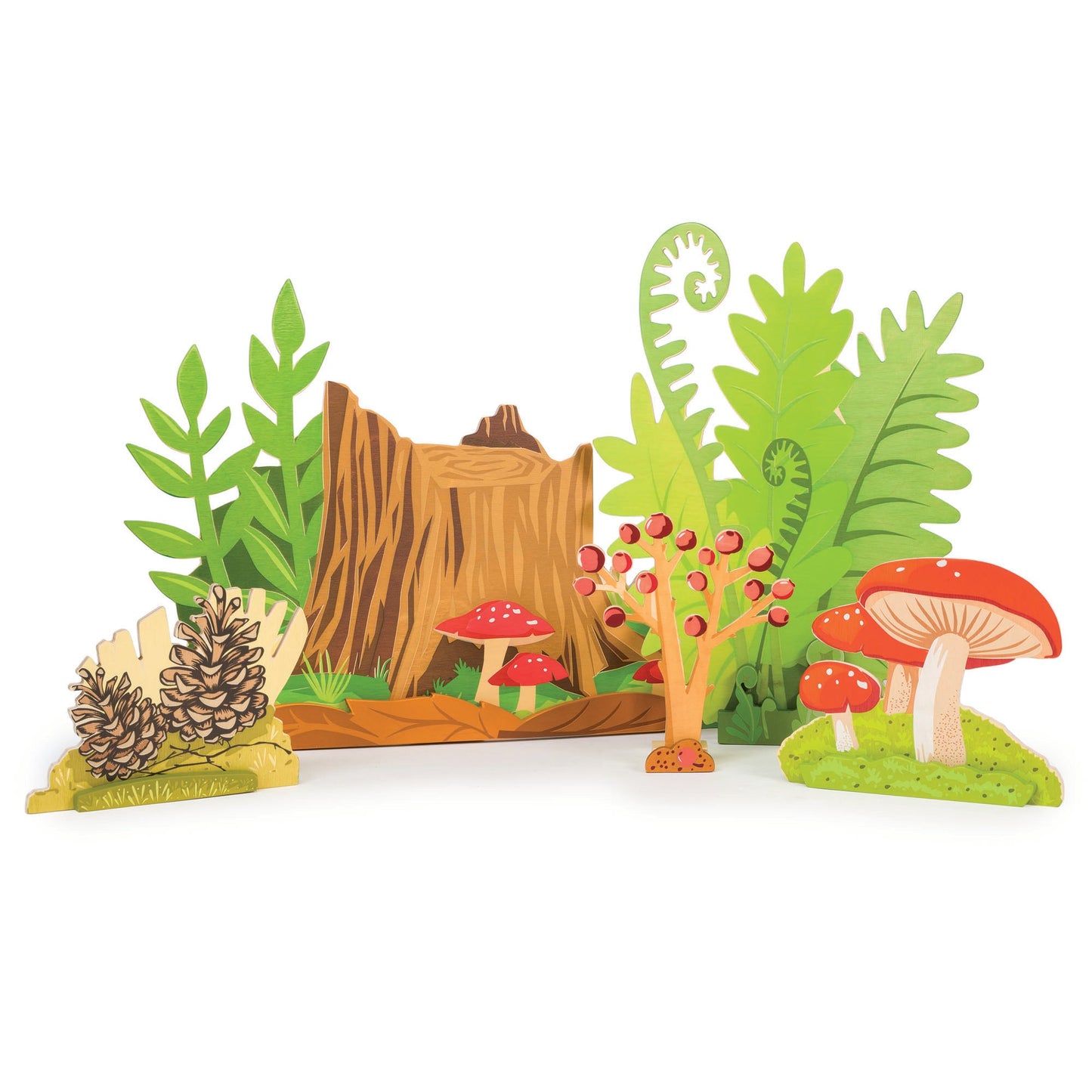 Merrywood Forest Scene