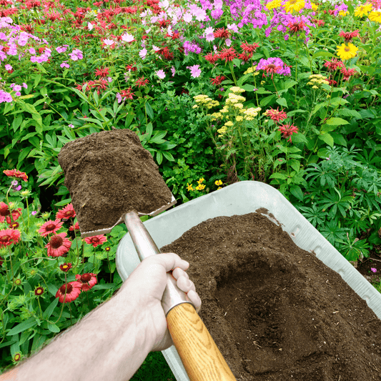 Bordermix® Welsh Topsoil for plants and flowers
