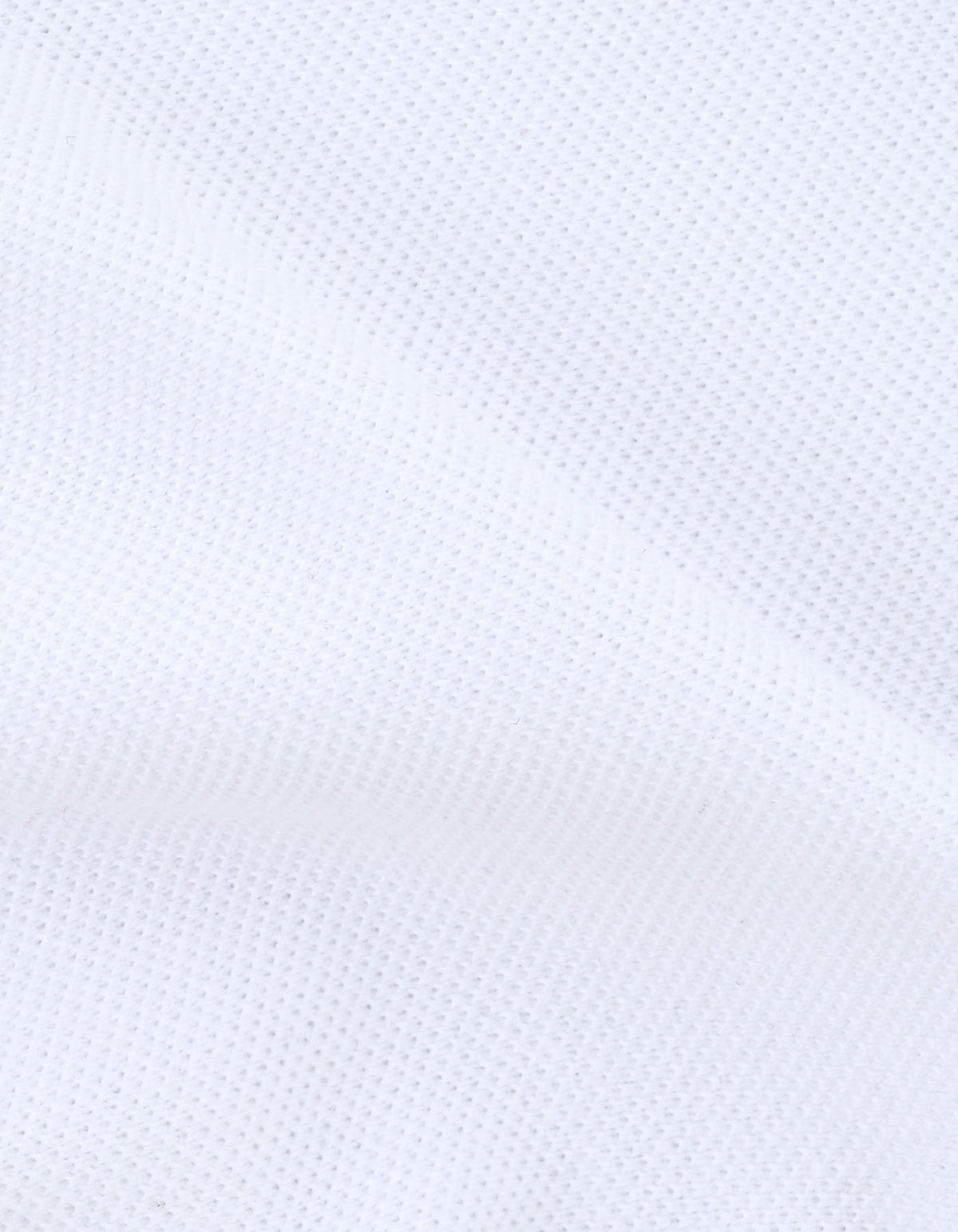 White Regular Fit Cotton Polo Shirt