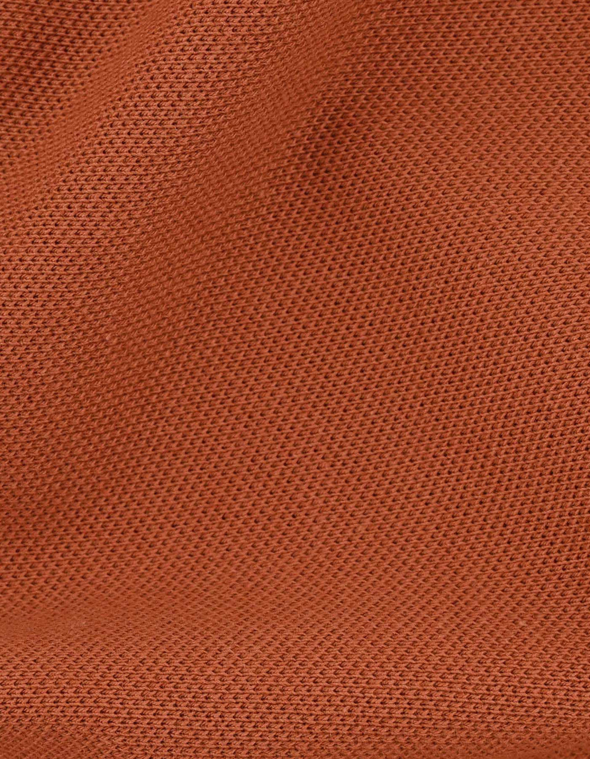 Rust Regular Fit Cotton Polo Shirt