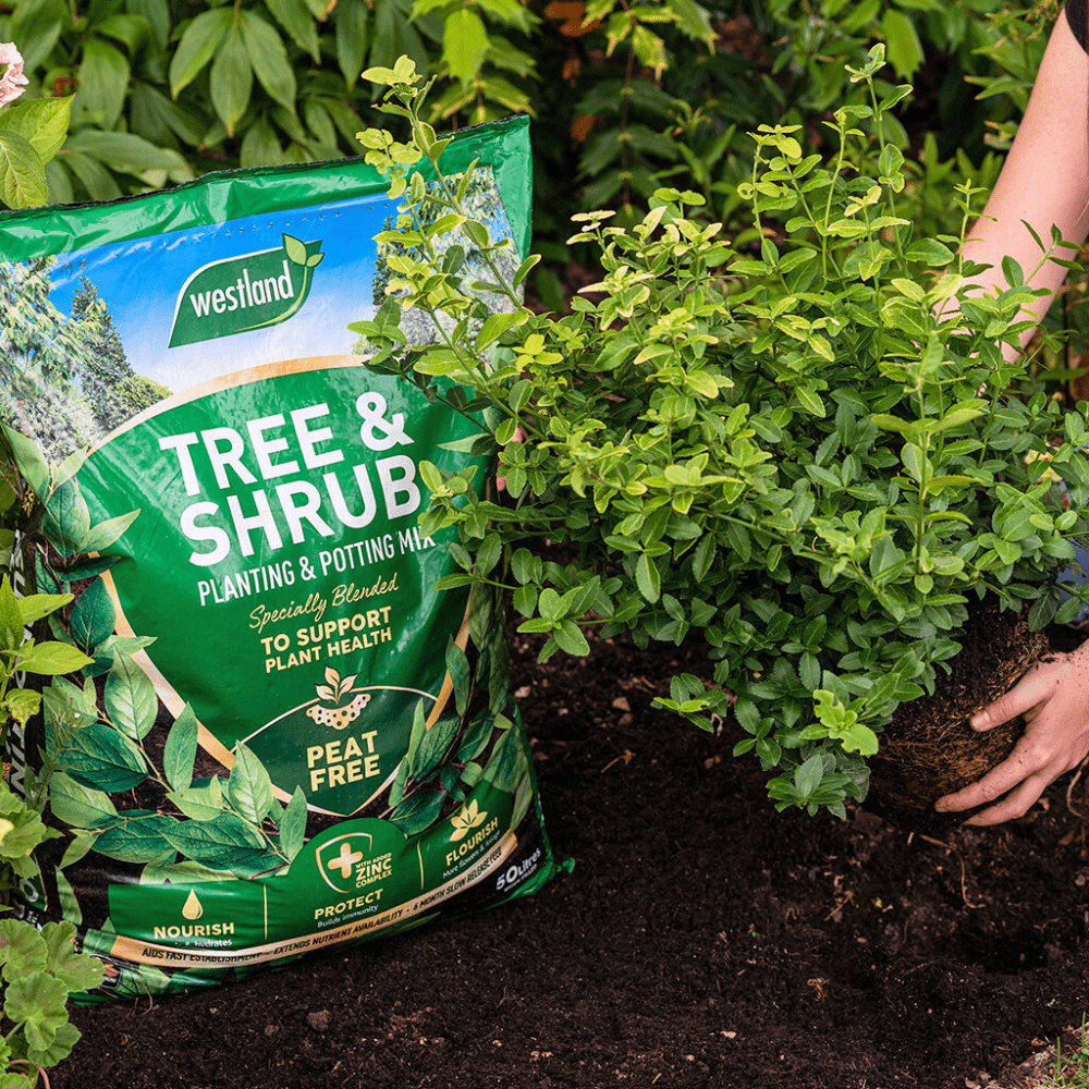 Tree & Shrub Planting & Potting Mix 50ltr Bulk Buy
