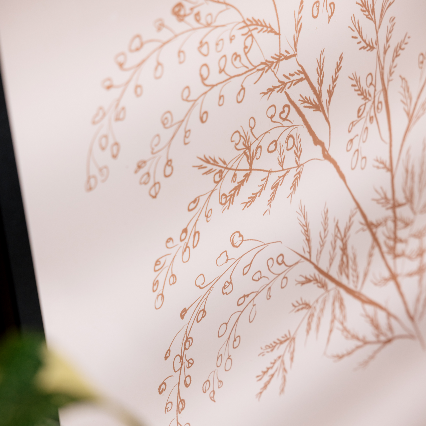 White Acacia Botanical Branch Print