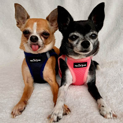 Tiny Trails Step In Air Mesh Puppy and Small Dog Harness Pink