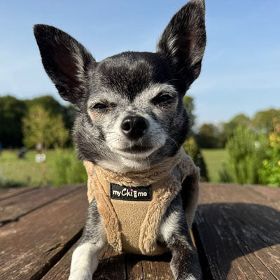 Tiny Trails Step In Soft Touch Suede Effect Faux Fur Lined Puppy and Small Dog Harness Caramel