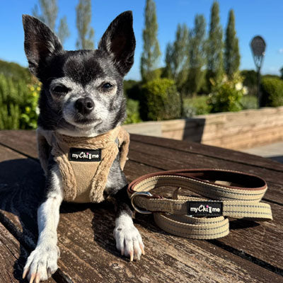 Tiny Trails Step In Soft Touch Suede Effect Faux Fur Lined Puppy and Small Dog Harness Caramel