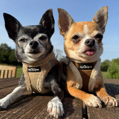Tiny Trails Step In Soft Touch Suede Effect Faux Fur Lined Puppy and Small Dog Harness Caramel
