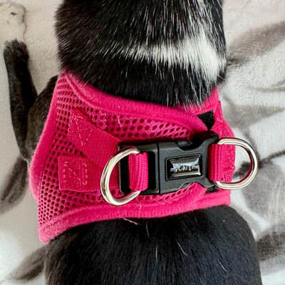 Tiny Trails Step In Air Mesh Puppy and Small Dog Harness Hot Pink