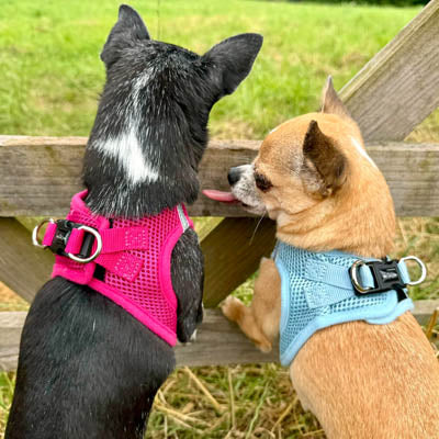 Tiny Trails Step In Air Mesh Puppy and Small Dog Harness Hot Pink