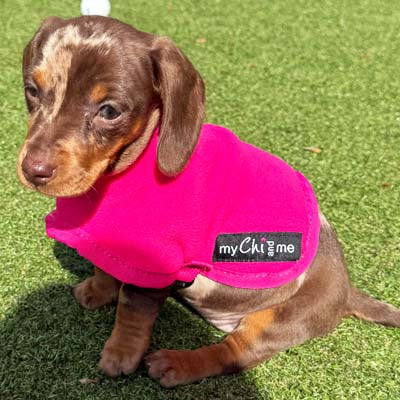 Tiny Toastie Water Repellent Fleece Dog Coat by My Chi and Me Hot Pink