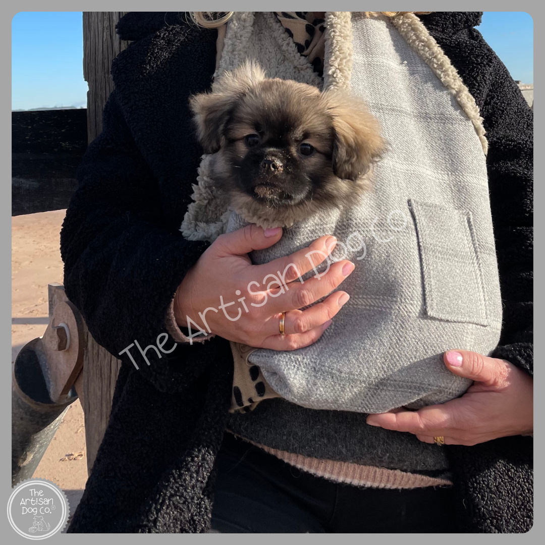 Handcrafted, luxury puppy/small dog carrier/sling