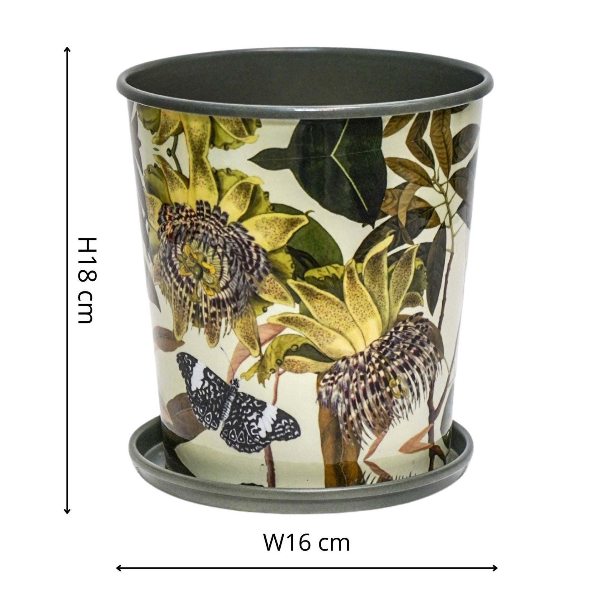 TheFoalyard Ivyline Kew Royal Botanic Gardens Botanical Retreat Planter With Saucer 16cm dimensions