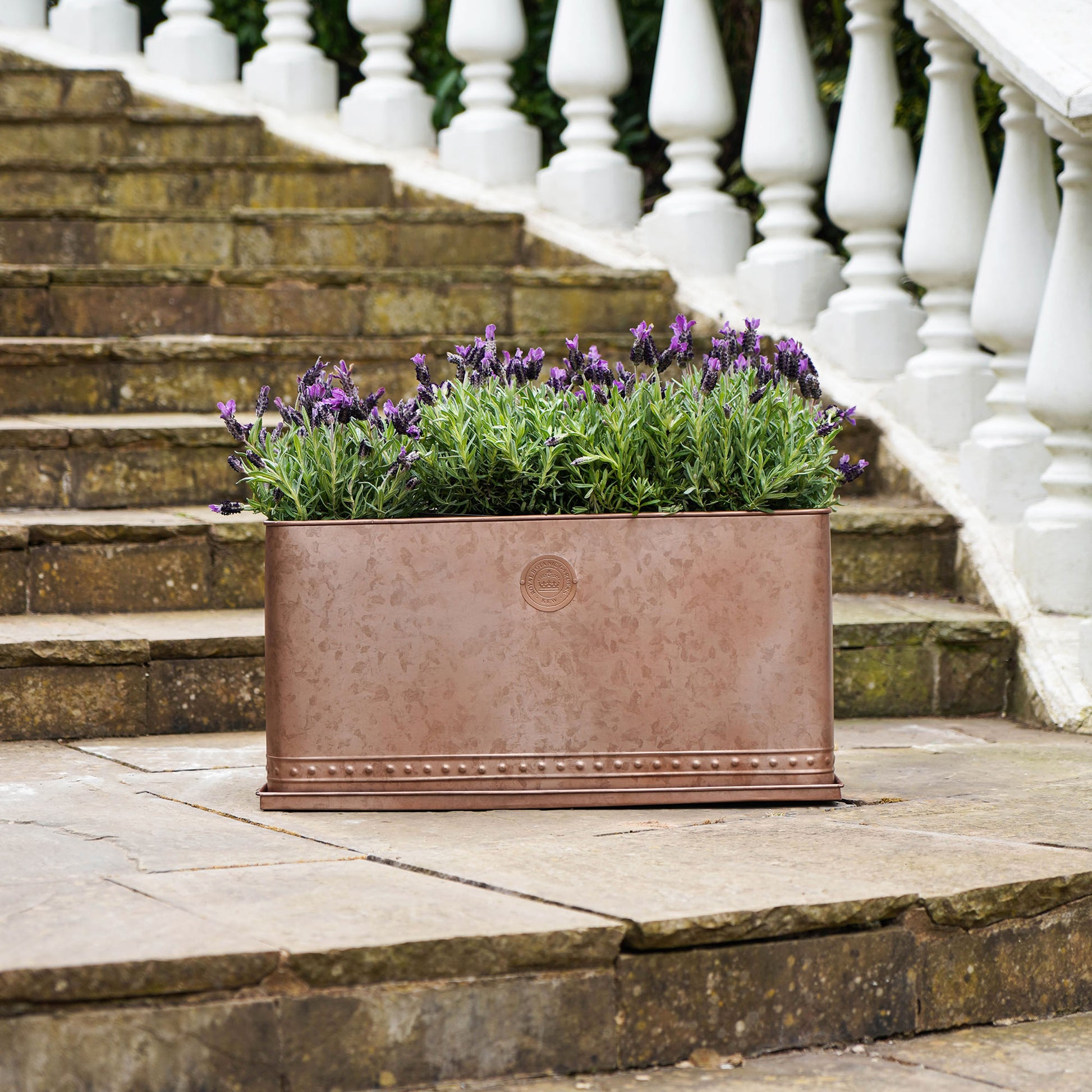 TheFoalyard Ivyline Kew Royal Botanic Gardens Aged Copper Regency Outdoor Trough 43cm rectangle