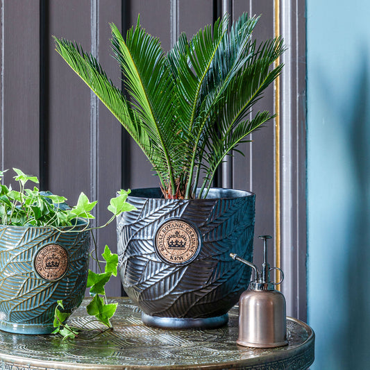 TheFoalyard Ivyline Kew Royal Botanic Gardens Leaf Embossed Charcoal Cork Planter