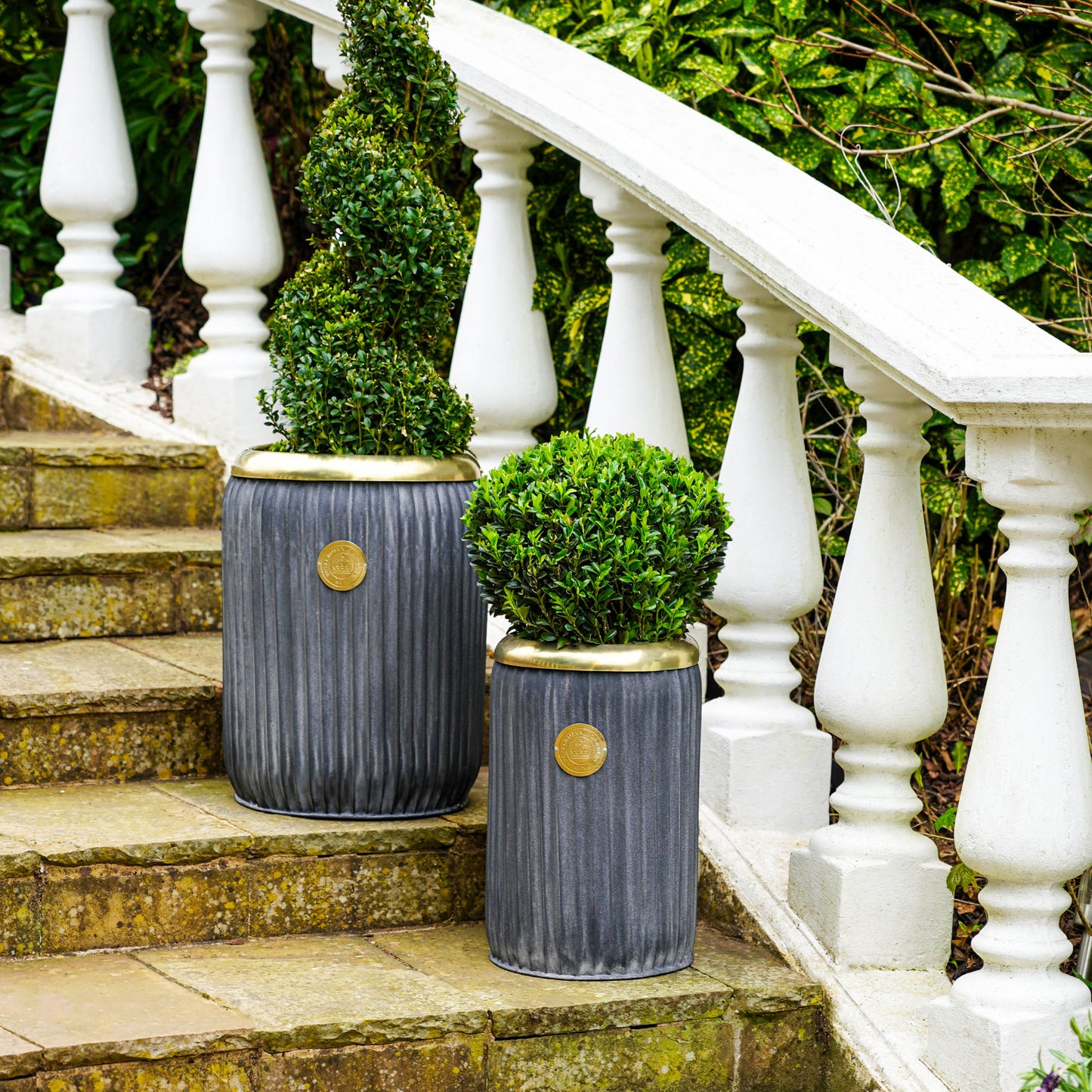 TheFoalyard Ivyline Kew Royal Botanic Gardens Round Antique Lead Richmond Planters steps