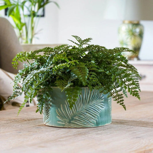 TheFoalyard Ivyline Kew Royal Botanic Gardens Stoneware Sago Palm Bowl Olive