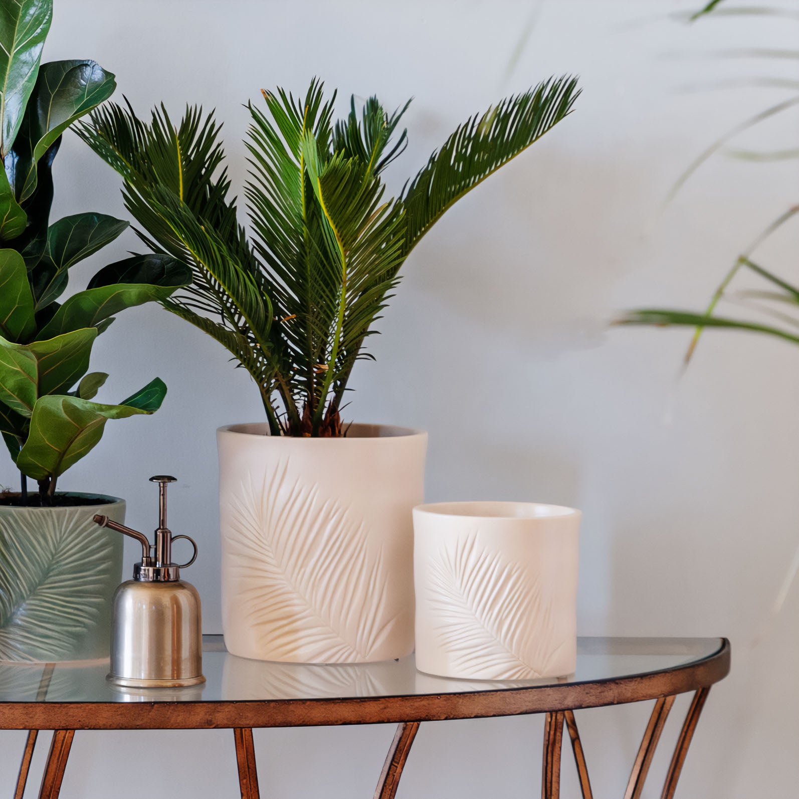 TheFoalyard Ivyline Kew Royal Botanic Gardens Stoneware Sago Palm Planter Ivory