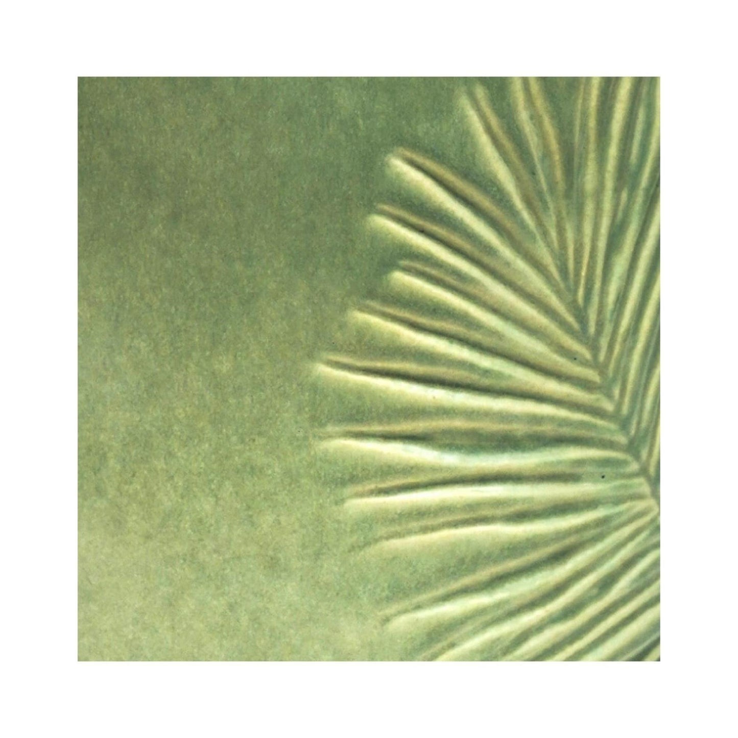 TheFoalyard Ivyline Kew Royal Botanic Gardens Stoneware Sago Palm Planter Olive 18cm detail