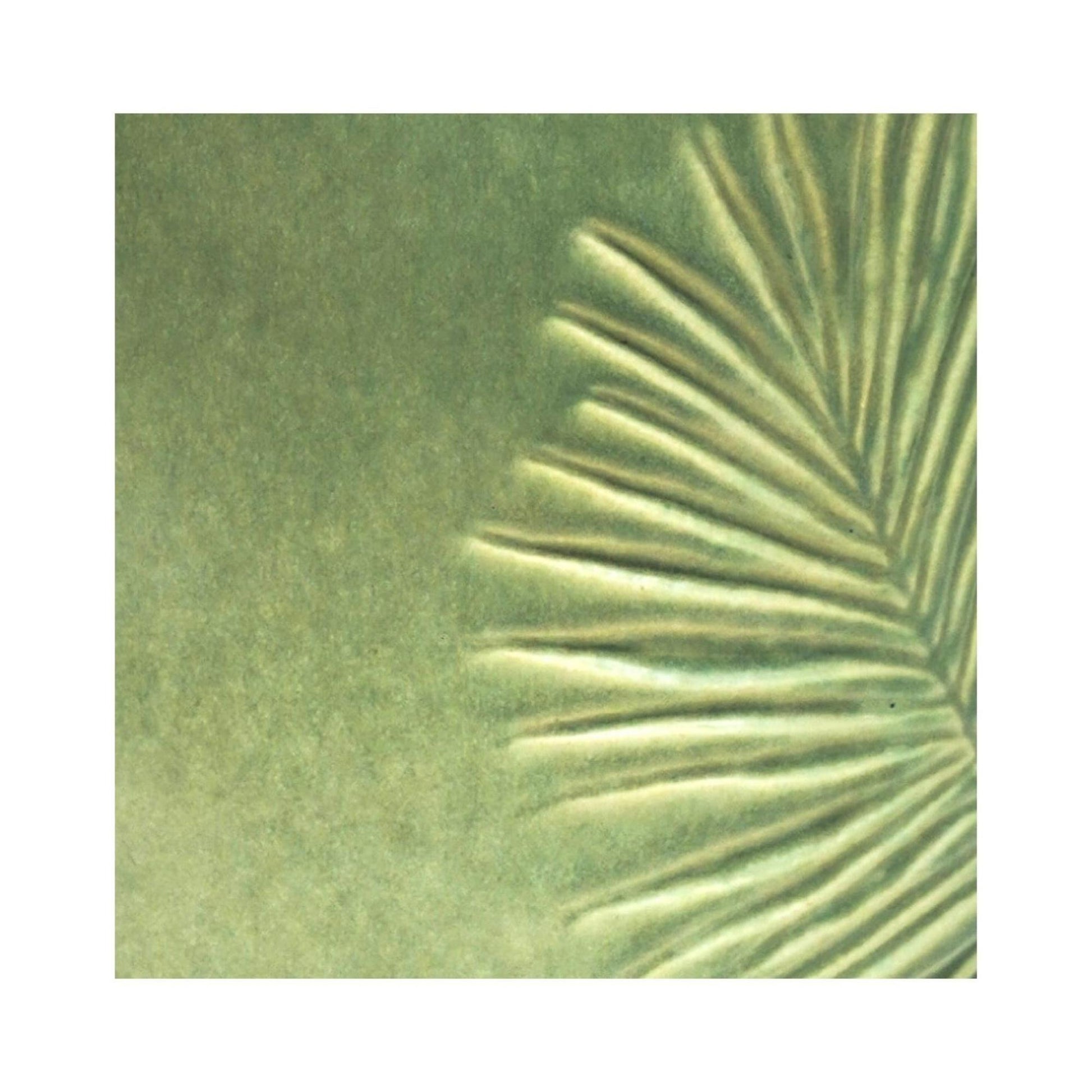 TheFoalyard Ivyline Kew Royal Botanic Gardens Stoneware Sago Palm Planter Olive 18cm detail