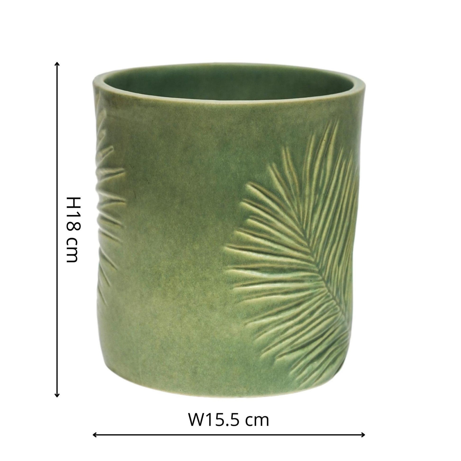 TheFoalyard Ivyline Kew Royal Botanic Gardens Stoneware Sago Palm Planter Olive 18cm dimensions