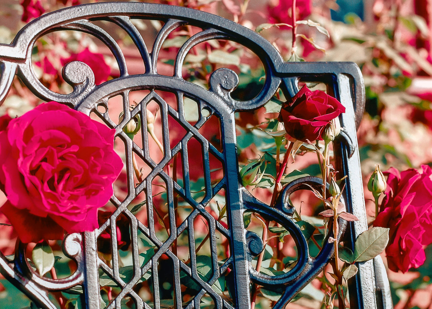 The Foalyard Jardine Leisure Aluminium Victorian Bench detail