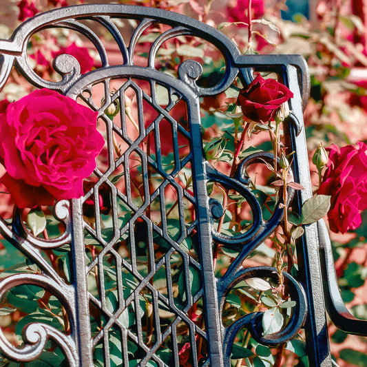The Foalyard Jardine Leisure Aluminium Victorian Carver Chair and Bench detail
