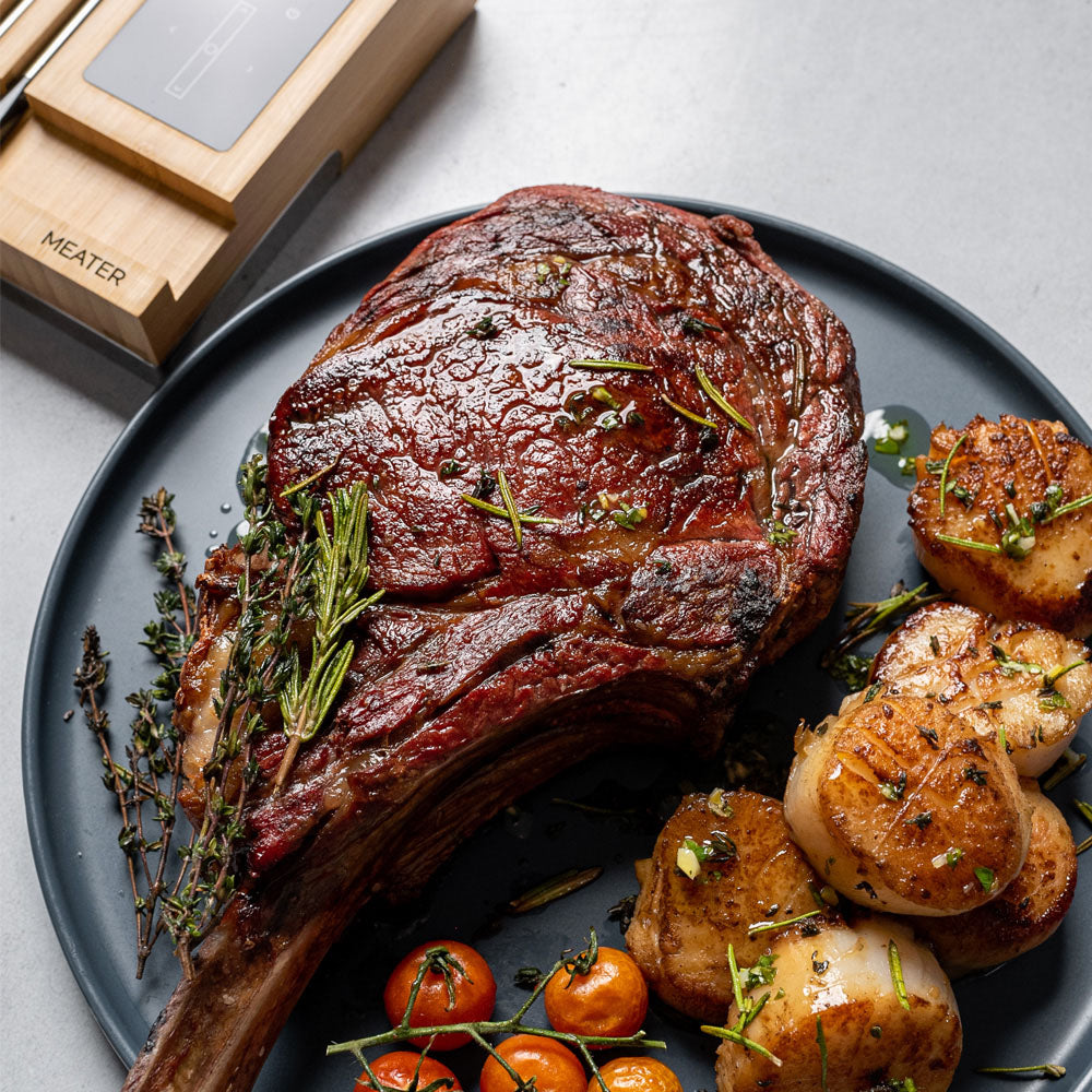 TheFoalyard MEATER Block WiFi Smart Meat Thermometer - Tomahawk