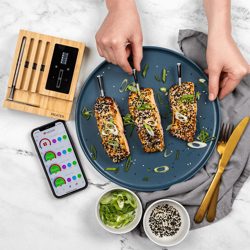 TheFoalyard MEATER Block WiFi Smart Meat Thermometer - fish