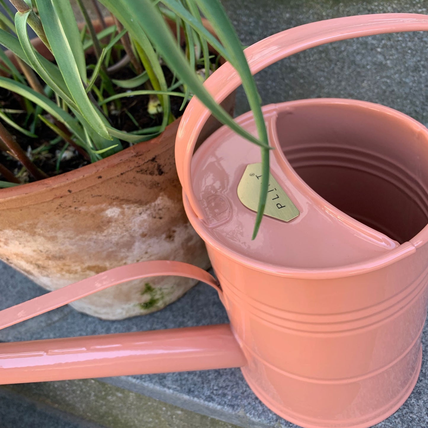PLINT 1.5L Watering Can