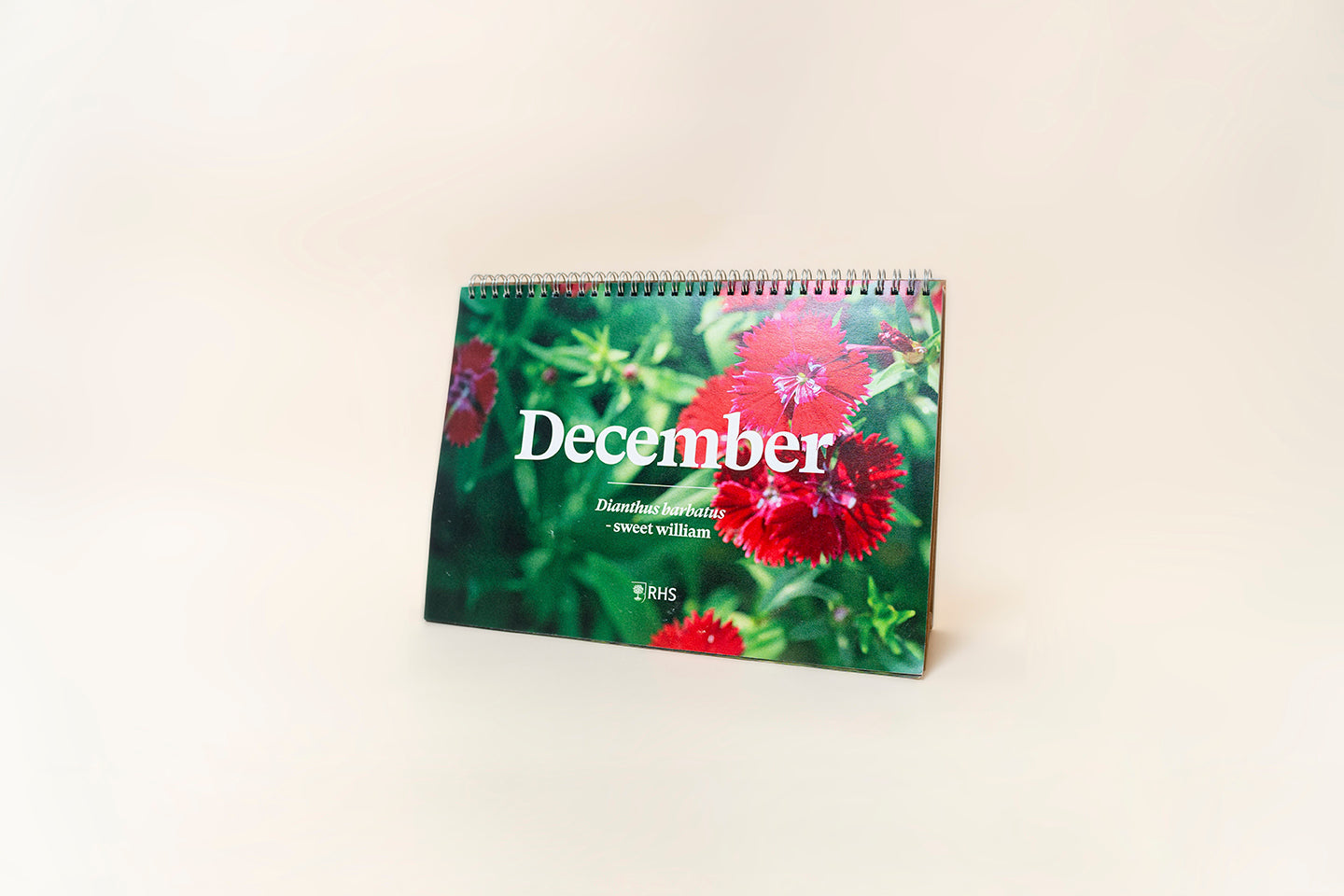 TheFoalyard RHS Willsow Plantable Desk Calendar December