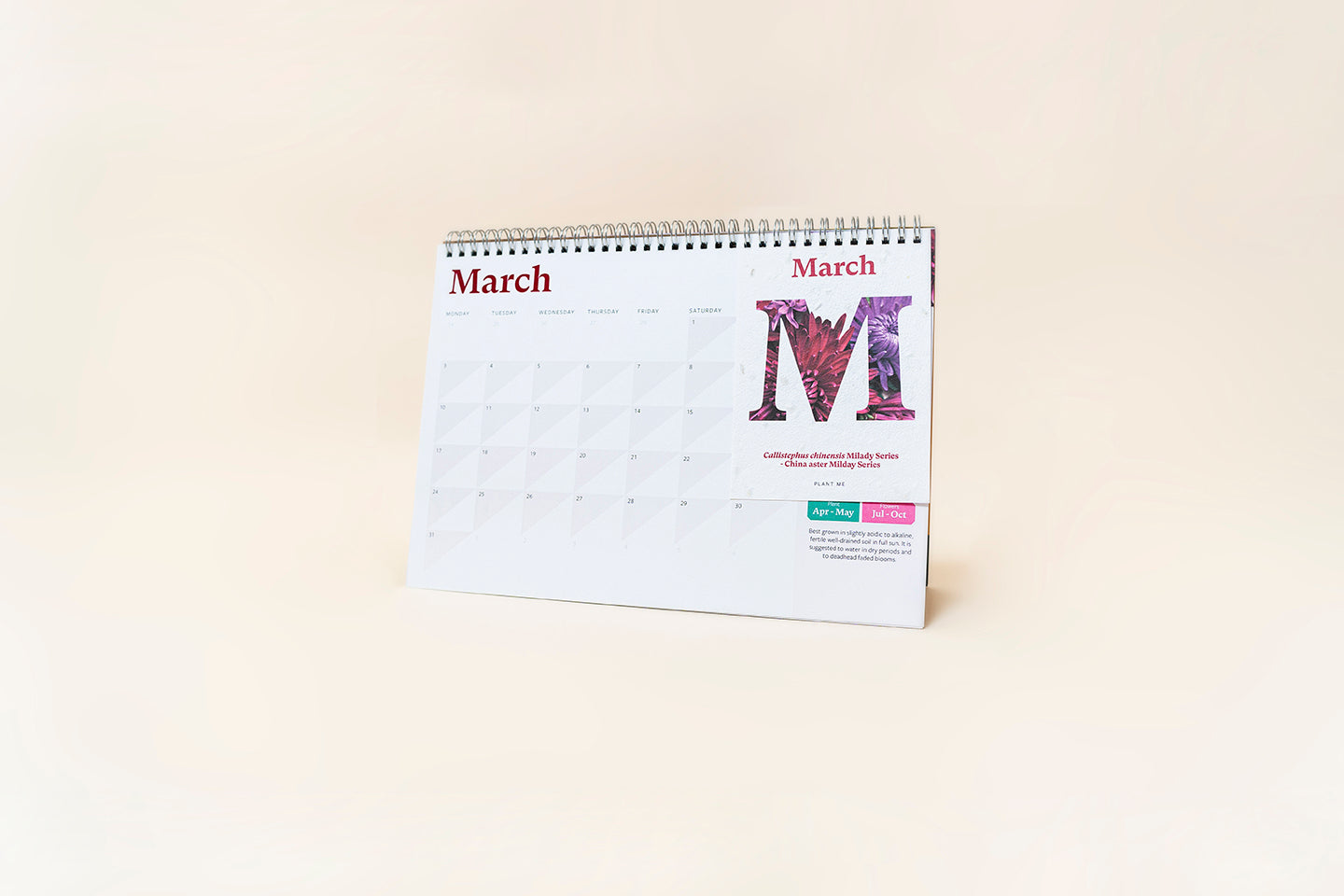 TheFoalyard RHS Willsow Plantable Desk Calendar March