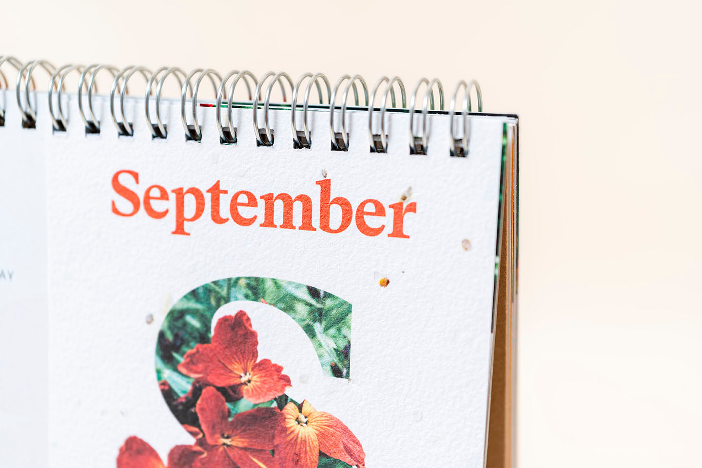 TheFoalyard RHS Willsow Plantable Desk Calendar September